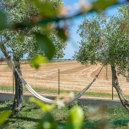 Ortopi Country Canapa House Porto Recanati Exteriör bild