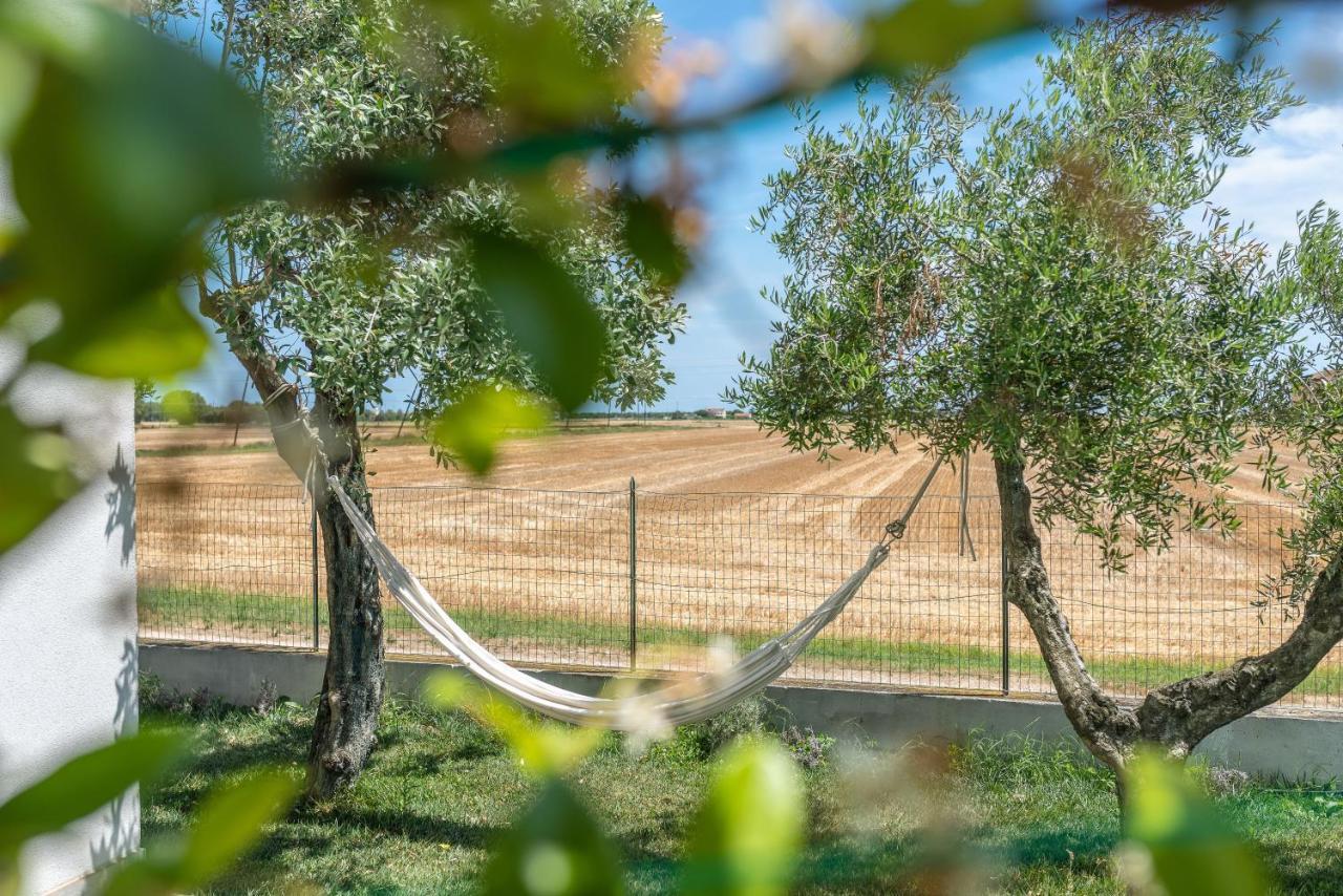 Ortopi Country Canapa House Porto Recanati Exteriör bild